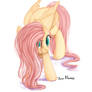 Fluttershy and smile