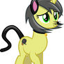 Pauly Nightmare Night Costume (Cat)