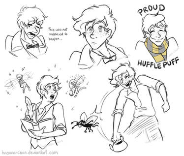 Scamander Doodles