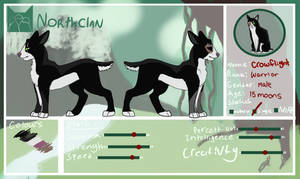 Northclan: Crowflight