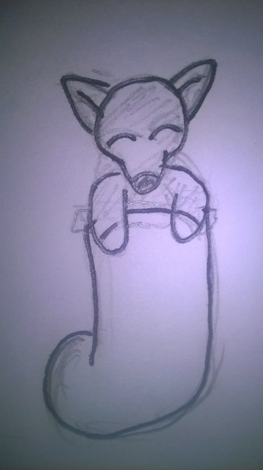 Fox in sock 1