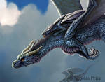The Blue Dragon, details by Amisgaudi