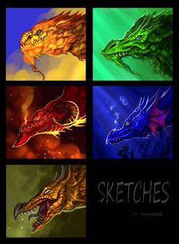 Dragon sketches commission