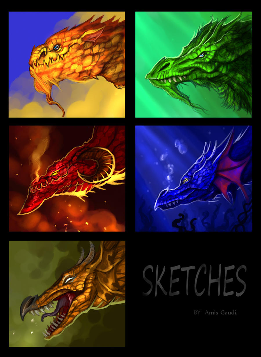 Dragon sketches commission