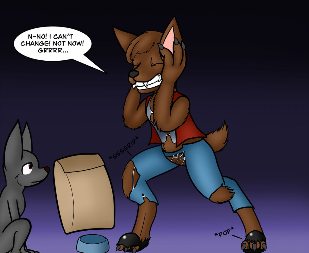 Pet Store Werewolf The Pet Store Werewolf TF Part 2/3 by Ryusuta on DeviantArt