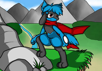 Shell the Riolu - The Journey Continues