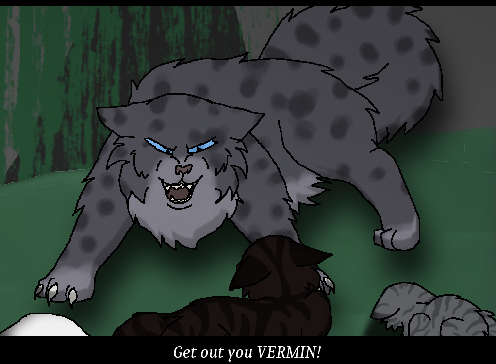 Warrior Cats OCs - Foxfeather's Kin by Featherfury on DeviantArt