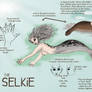 Selkie Species Sheet