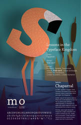 Type Classification Poster: Chaparral