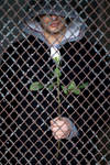Caged Romance by BWilliamsPhotography