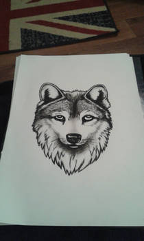 Wolf drawing