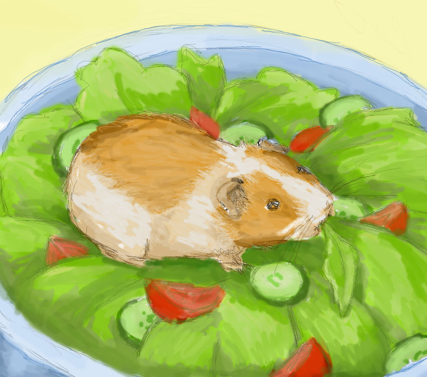 Beautiful view of Guinea Pig Salad With Flaxseeds