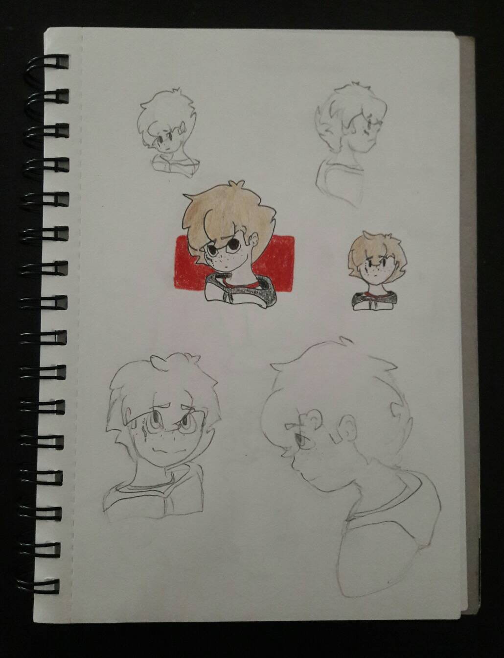 Sammy Doodles