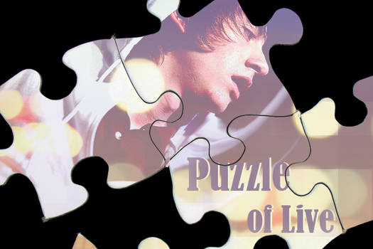 Puzzle of Live