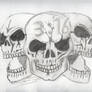 Stone Cold Steve Austin skulls