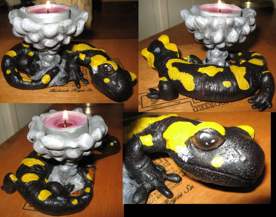 Fire Salamander