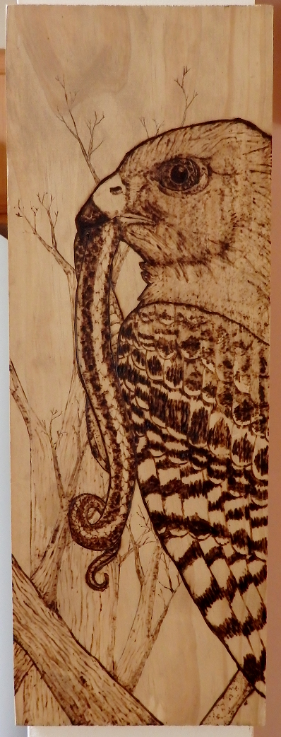 Red-Shouldered Hawk Wood Burn