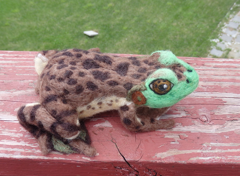 Needle Felted Bullfrog Soft Sculpture