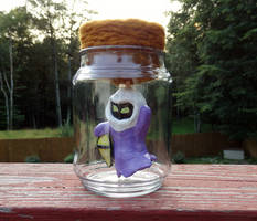 Poe in a Jar