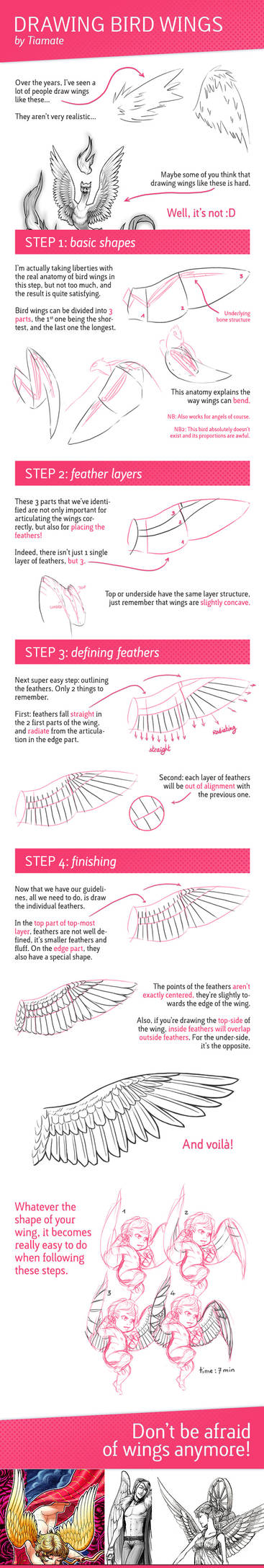 Tutorial: Drawing Bird Wings by Tiamate on DeviantArt