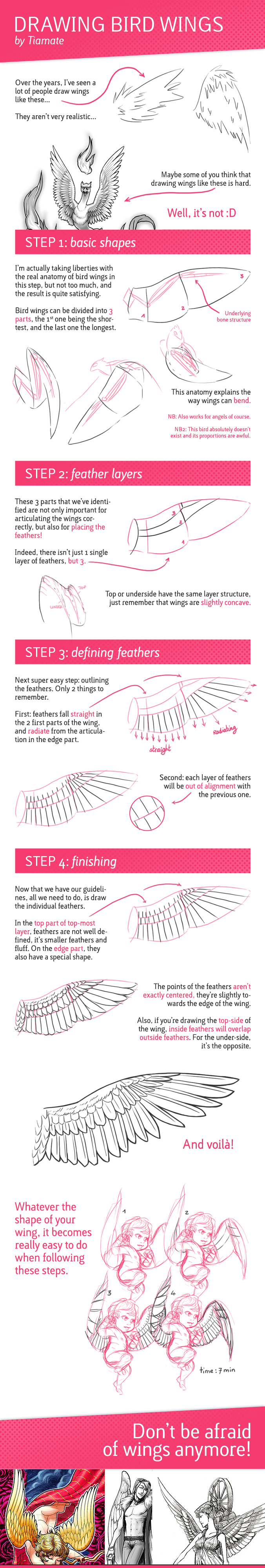 Tutorial: Drawing Bird Wings