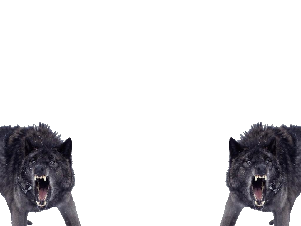 wolfs png