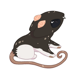 a little ratty [Kat ARPG COTM]