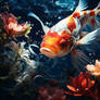 Graceful Koi Fish In Mountain Oasis By V1ruben Dga