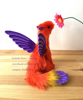 Happy orange Fairy Dragon