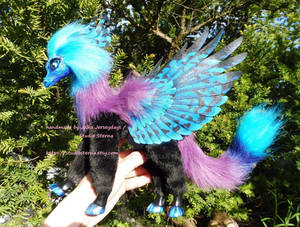 The Pegasus Dragon