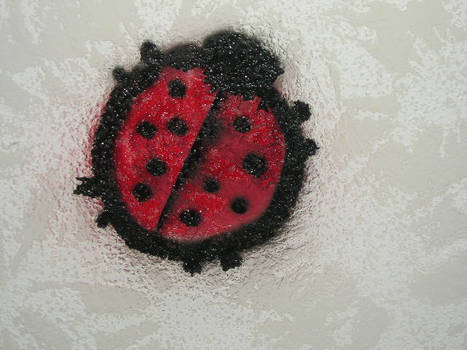 lady bug