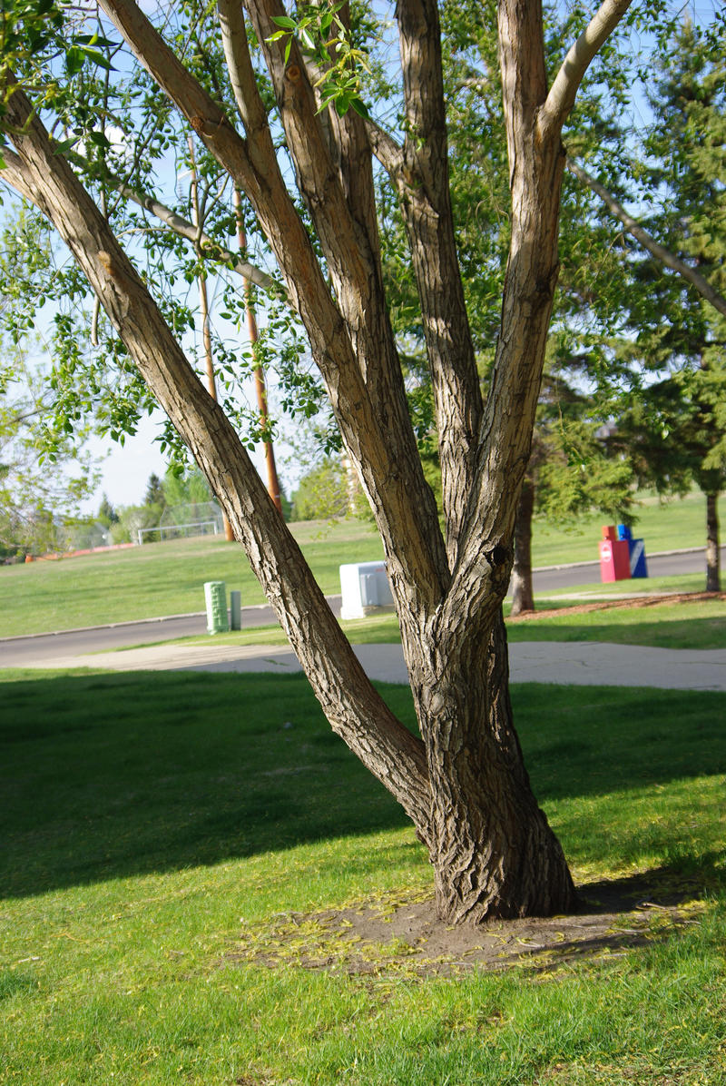 Twisted limbs by CJayS on DeviantArt