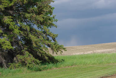 Here Comes The Rain Again