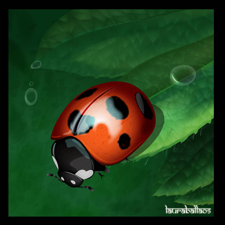 Java Ladybug Ladybug by LauraNonCe on DeviantArt
