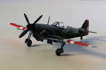 Swiss Fighter Doflug D.3803 Scale Model by destinationajourney