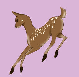 Bouncy lil deer
