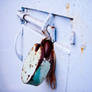 Door bolt and padlock