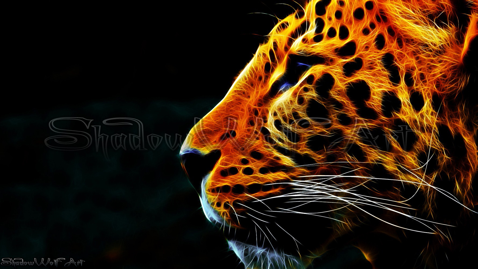 panthera pardus wallpaper by ShadowWolf-666 on DeviantArt panthera pardus wallpaper by ShadowWolf-666 on DeviantArt