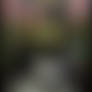 Inner Resonance (a short story)