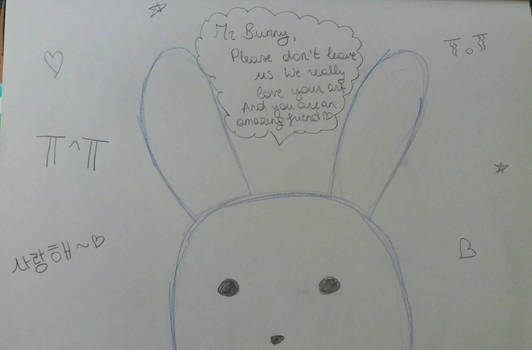 For Mr. Bunny 