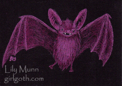 Pink bat - 8/4/13