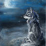 wolf night