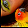 Birdy Love