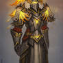 Paladin concept