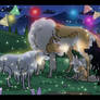 Show Your Heart - 2026