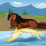 CE - Golden splash