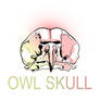 Owl skull