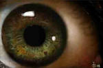 The Eye by dorsy11