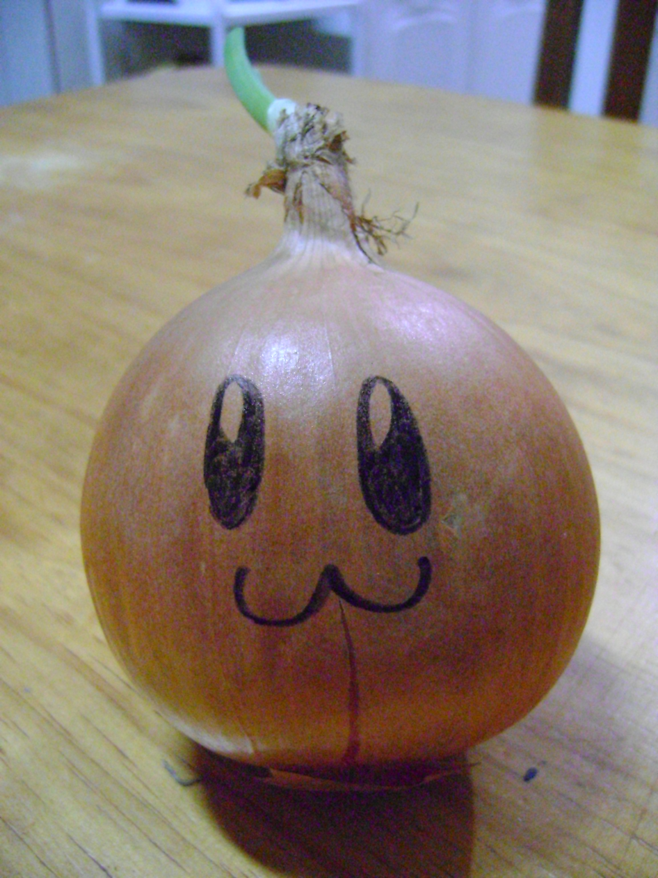 Funny Onion by LuciRamms on DeviantArt