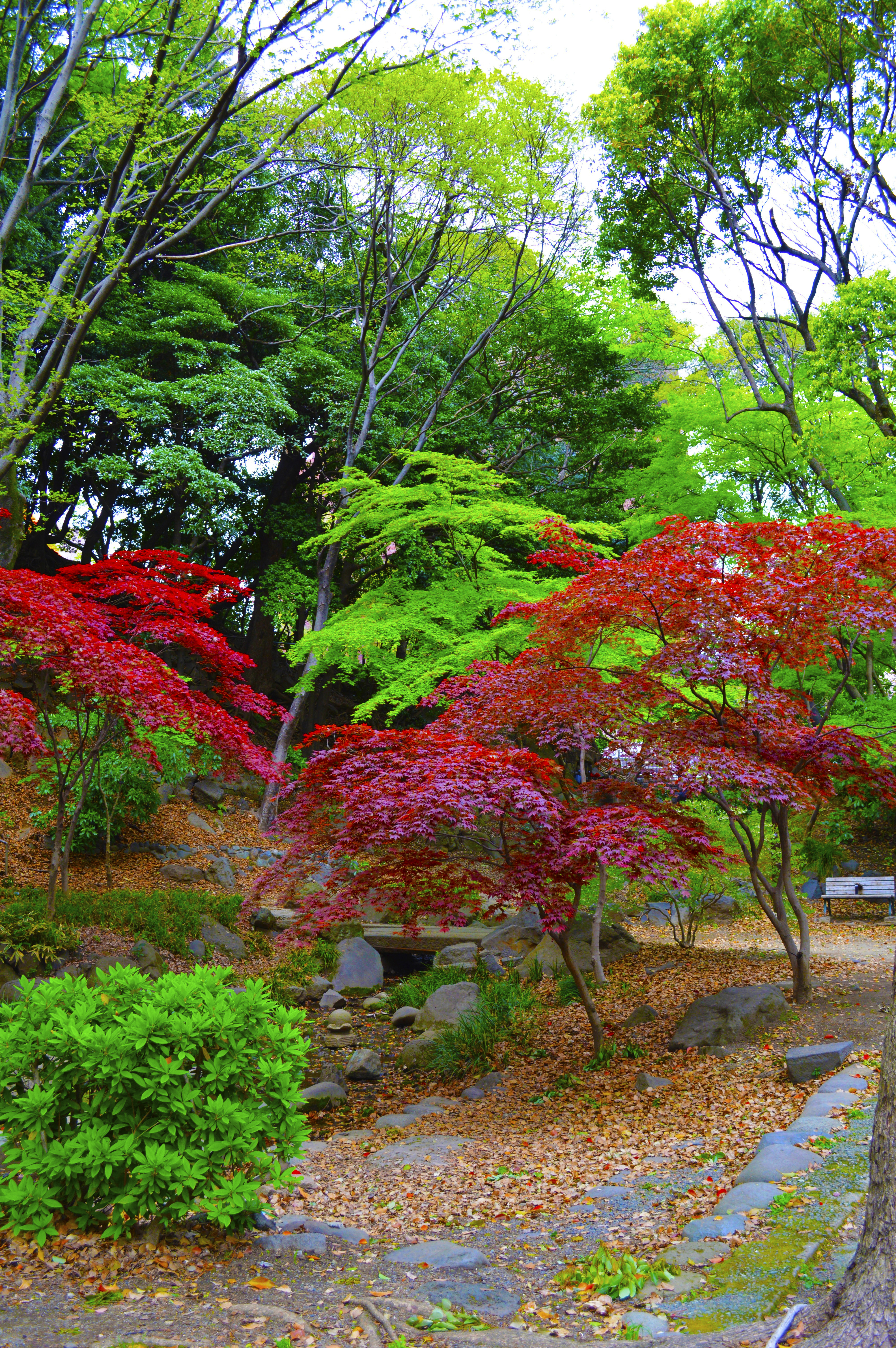 Zojo-ji Temple Park